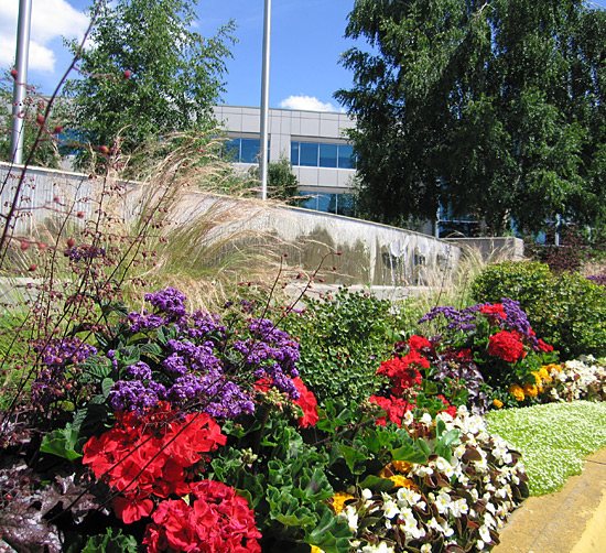 Commercial Landscaping Curb Appeal, Commercial Landscaping Blogs