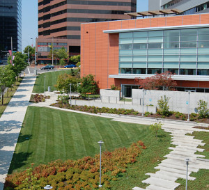 Commercial Lanscaping Maintenance
